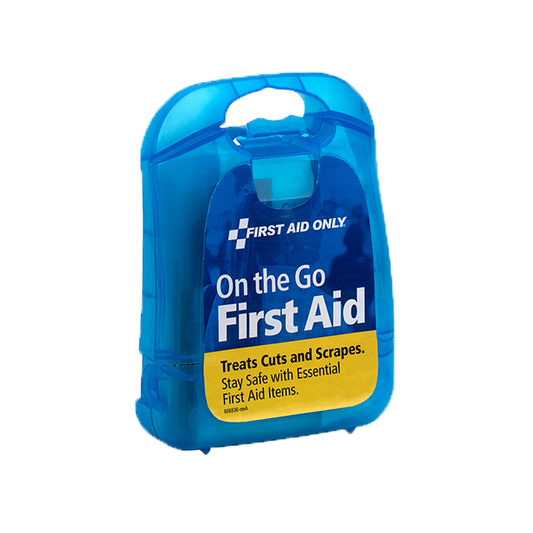 29 Pc Mini Clear Blue Plastic First Aid Kit